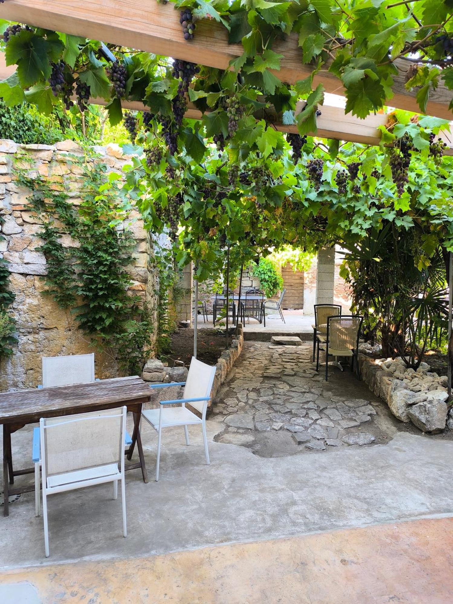 Casa Di Marko 105 M2 Garden Apartment Rovinj Exterior foto